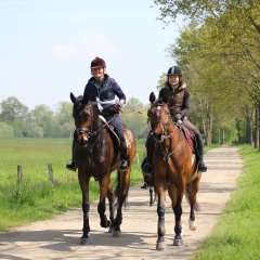 Warendorfer Reitroute Ausritt rund um Warendorf