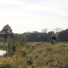 Reitweg an der Ems Reitweg an der Ems