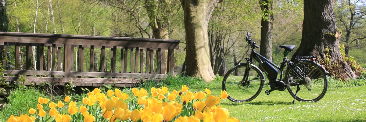 Emsseepark Frühling Emsseepark mit Tulpen und Ebike