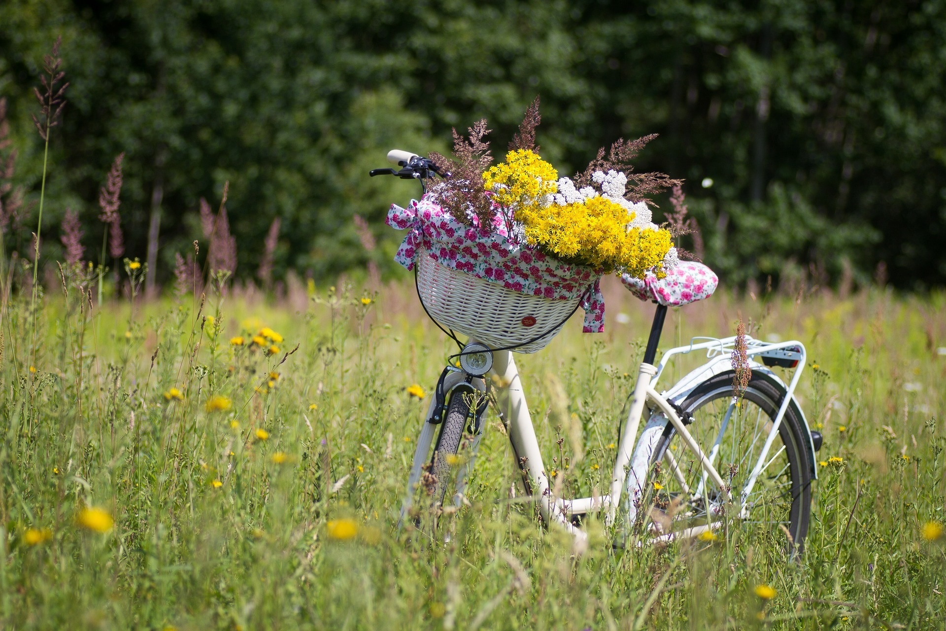 Fahrrad auf der Wiese Fahrrad auf Wiese