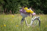 Fahrrad auf Wiese