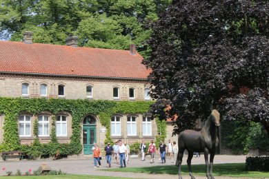 Gestütsführung Führung über das Gelände des NRW-Landgestüts