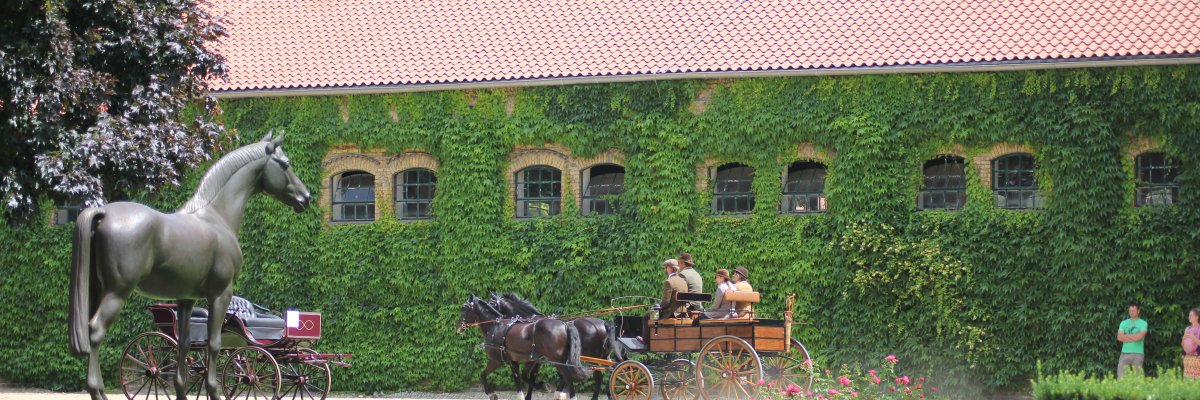 Landgestüt