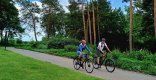 2 Radfahrer auf einer Strasse im Waldgebiet