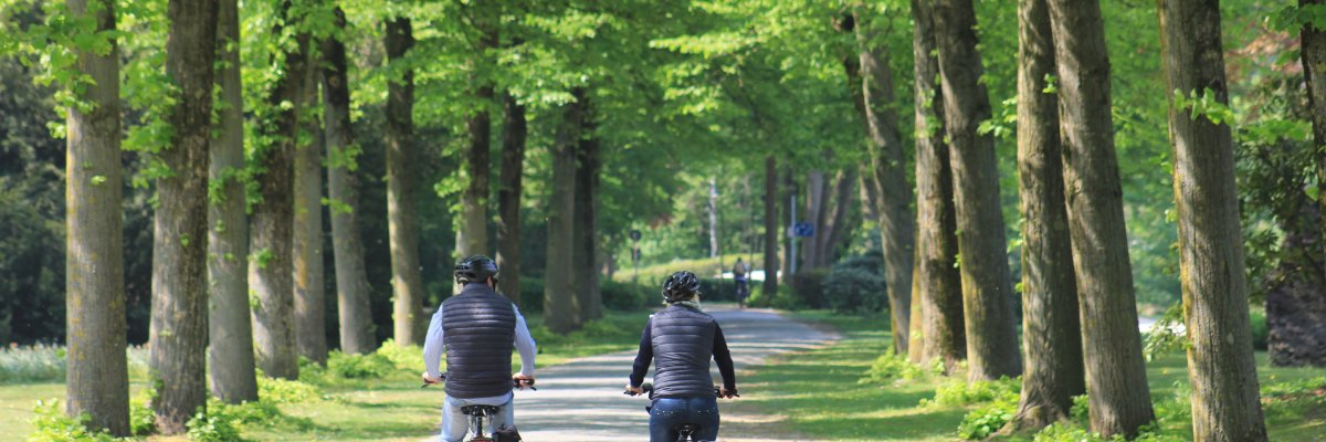 Radfahrer im Emsseepark Radfahrer im Emsseepark