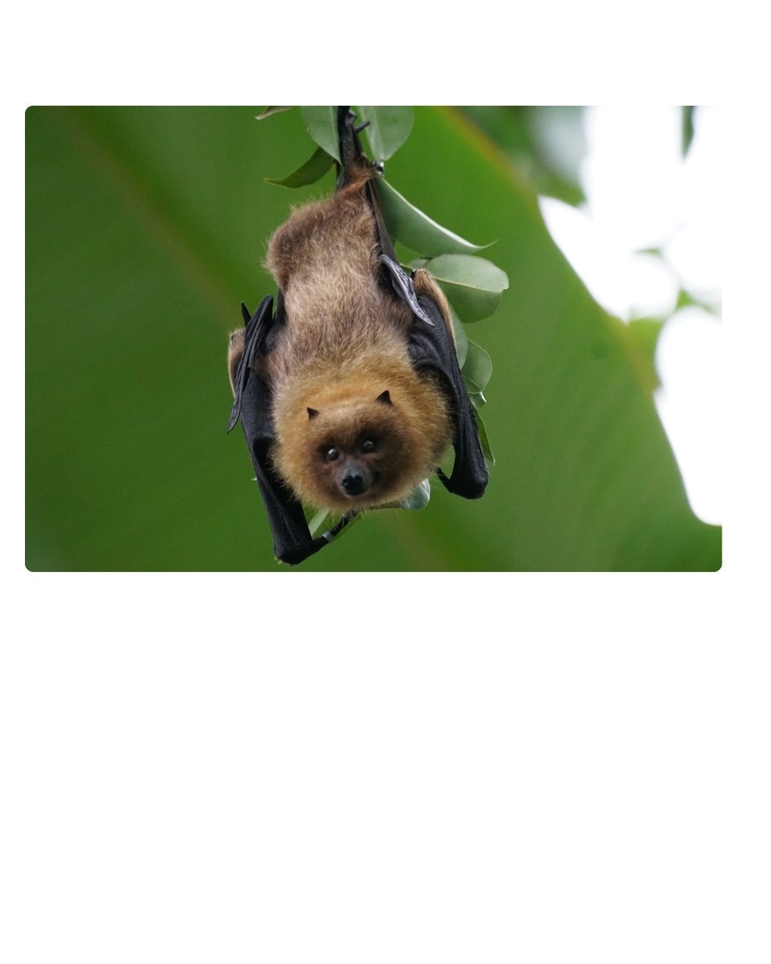 foto zurück zur natur - 11