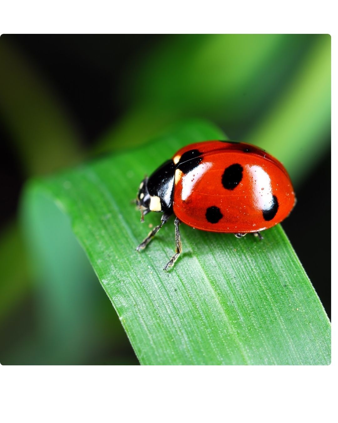 foto zurück zur natur - 8 foto zurück zur natur - 8