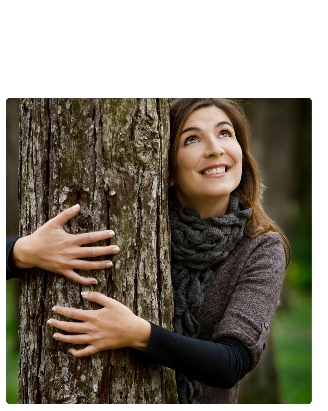 foto zurück zur natur - 3