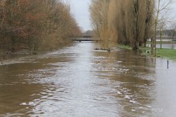 Hochwasser in Warendorf