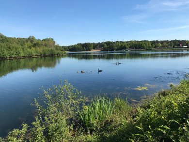 Feldmarksee Blick auf den Feldmarksee in Sassenberg