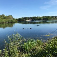 Feldmarksee Blick auf den Feldmarksee in Sassenberg