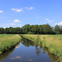 Blick auf die Hessel in Milte Blick auf die Hessel in Milte
