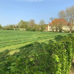 Schloß Vornholz Blick auf Schl0ß Vornholz