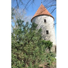 Bentheimer Turm Bentheimer Turm, alter Wehrturm