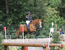 Bundeschampionate Vielseitigkeit Springturnier_Vielseitigkeit